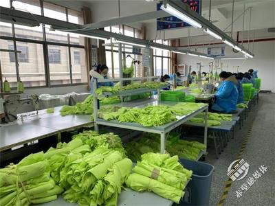 新春新氣象，赤壁服裝企業設計先行，全力沖刺“開門紅”